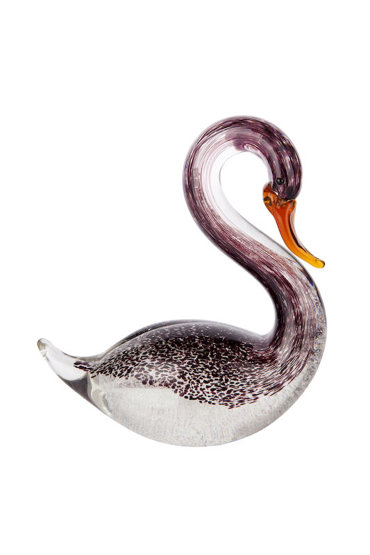 orginal_ccg_cygnet.png