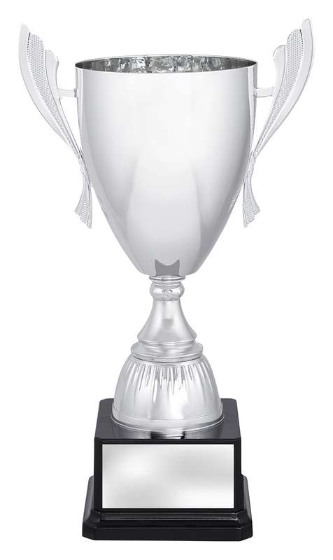 Silver Ironside