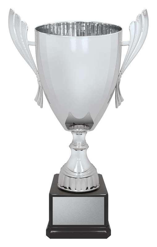 Ironside Cup – Silver