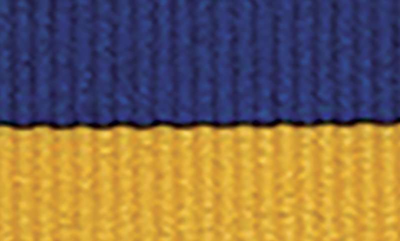 Blue / Gold Ribbon