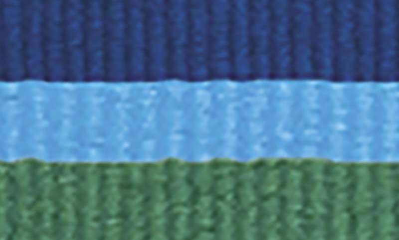 Blue / L.Blue / L.Green Ribbon