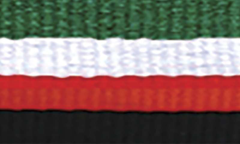 Green / White / Red / Black Ribbon