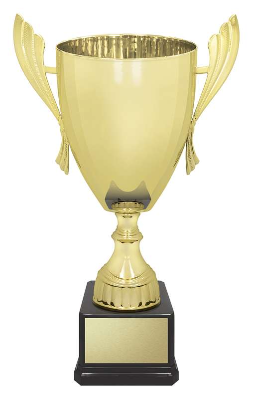 Ironside Cup – Gold