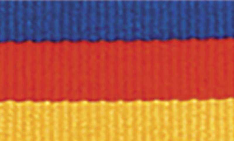 Blue / Red / Gold Ribbon