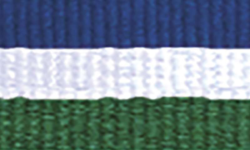 Blue / White / Green Ribbon