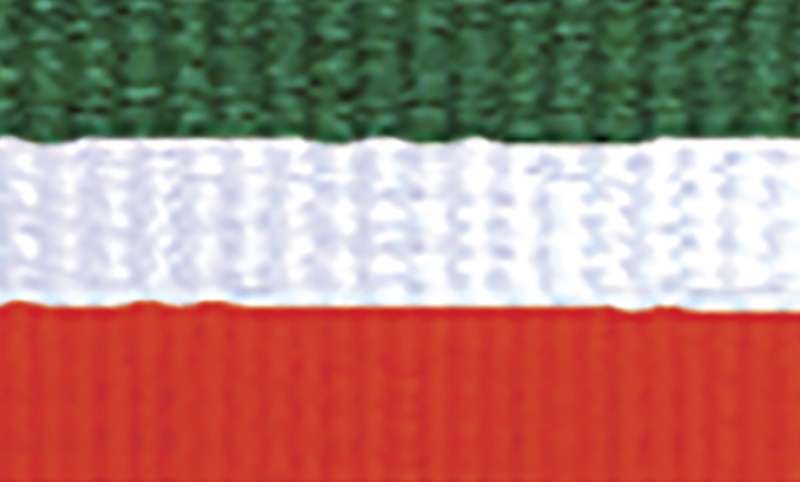 Green / White / Orange Ribbon