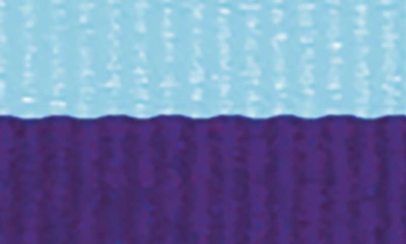 L.Blue / Purple Ribbon