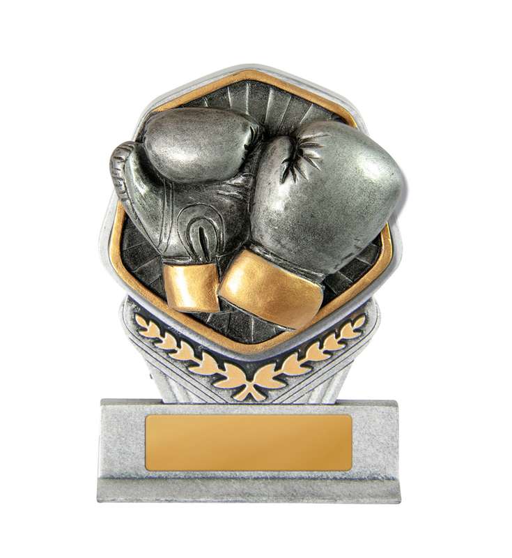 Falcon Tower-Boxing
