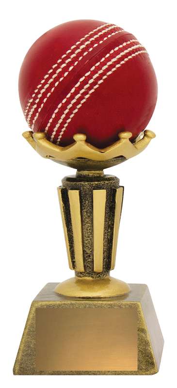 Cricket Ball Holder