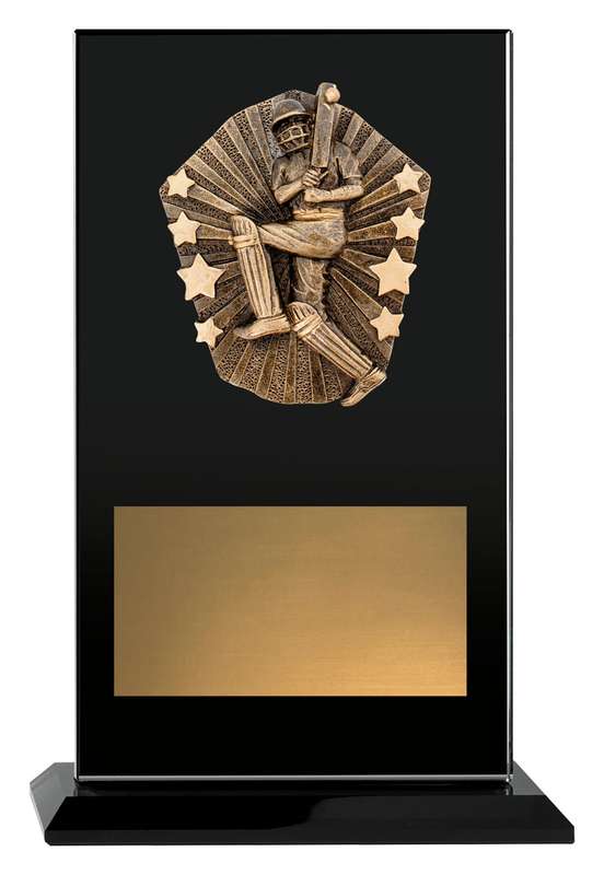 Cosmos Glass – Male Batting