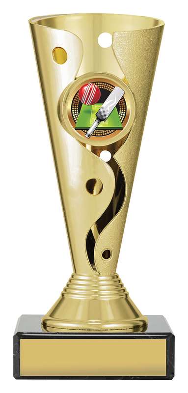 Carnival Cup – Cricket