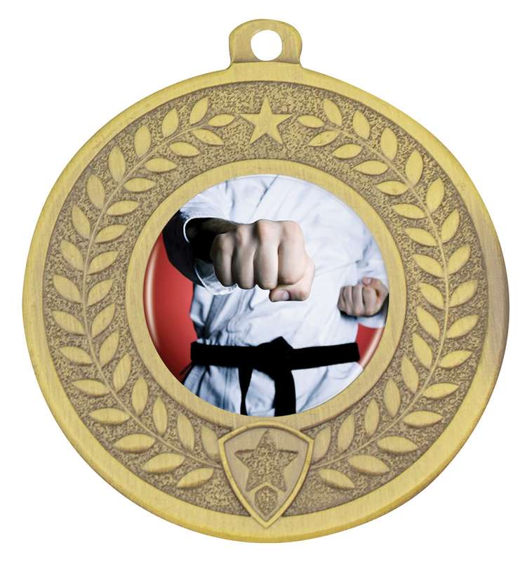 Distinction – Martial Arts
