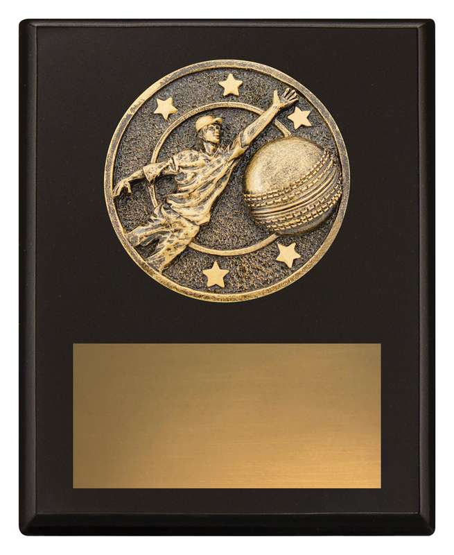 Challenge Plaque – Fielding